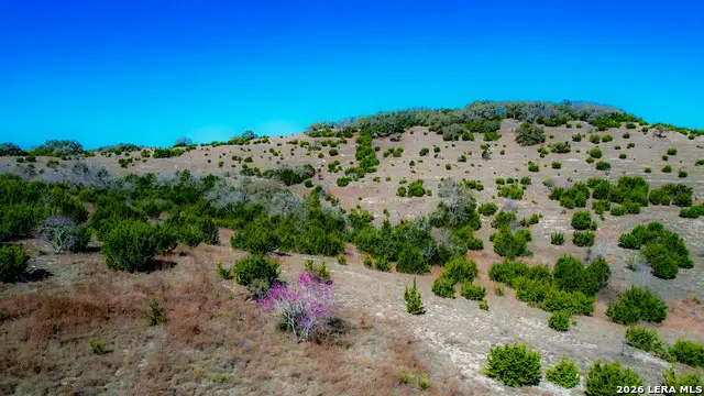 211 Majestic Hills Dr, Blanco, TX 78606 - #3
