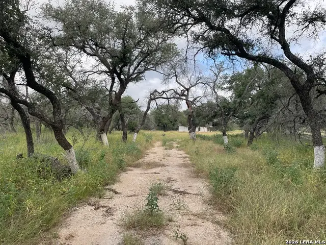 1742 County Road 777, Devine, TX 78016 - #2