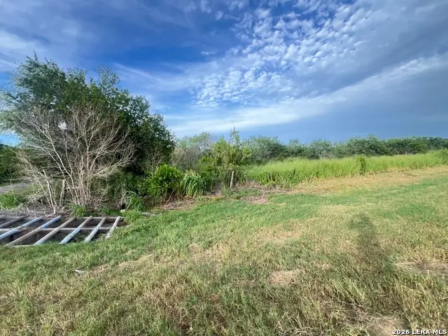 620 Cr, Skidmore, TX 78389 - #3