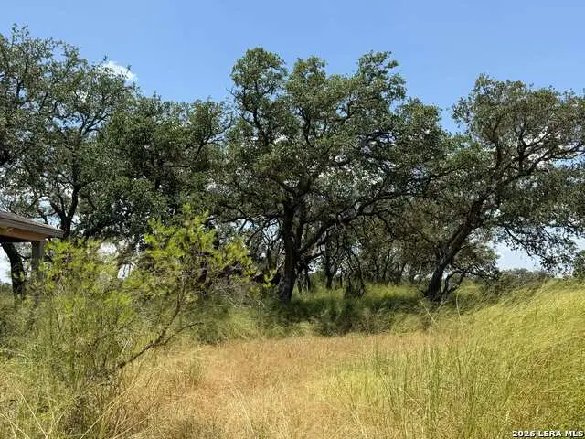 380 County Road 6723, Natalia, TX 78059 - #1