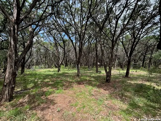 TBD Lake View, Lakehills, TX 78063 - #2