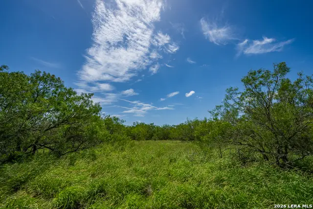 TBD State Highway 16, Freer, TX 78357 - #2