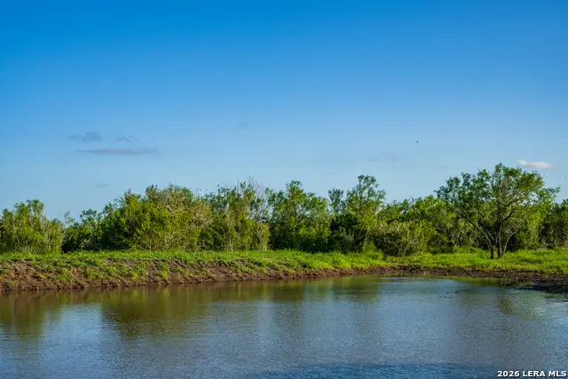 TBD State Highway 16, Freer, TX 78357 - #3
