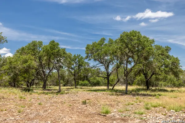 0 Cherry Creek Road, Hunt, TX 78024