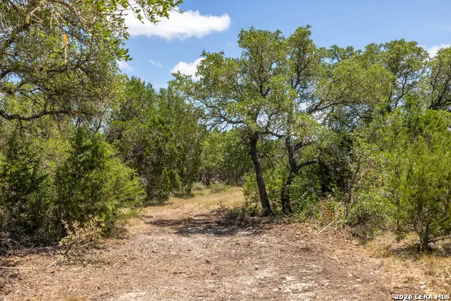 0 Cherry Creek Road, Hunt, TX 78024 - #2
