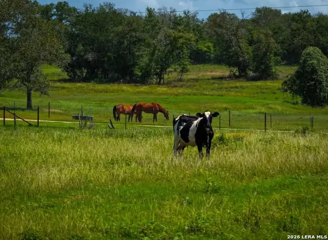 000 Cr 259, Gonzales, TX 78629 - #3
