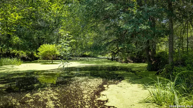 275 Fm 1104, Kingsbury, TX 78638 - #2