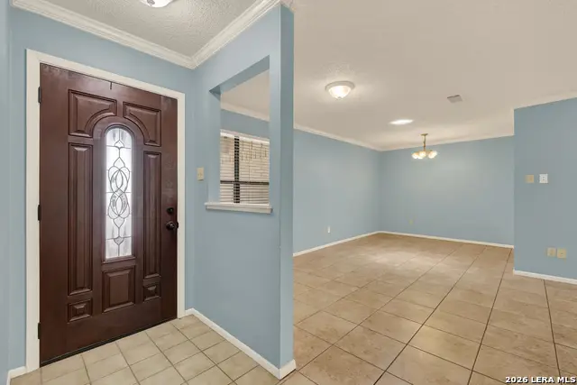 1302 S Mesquite Ave, New Braunfels, TX 78130 - #3
