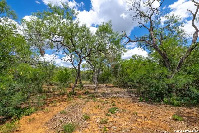 0 Fm 462, Hondo, TX 78861 - #2