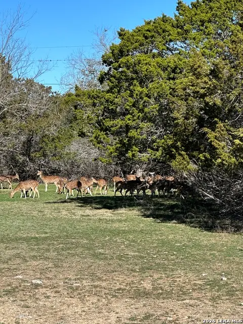0 Deerwood, Bandera, TX 78003