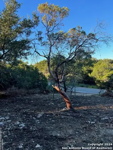 340 Ledgeview Dr, Canyon Lake, TX 78133