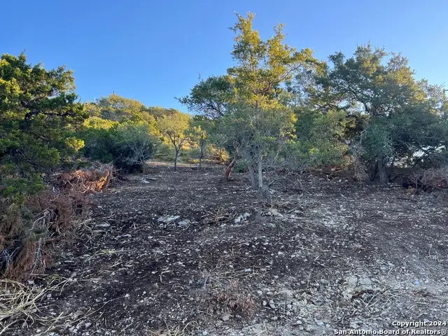 340 Ledgeview Dr, Canyon Lake, TX 78133 - #2