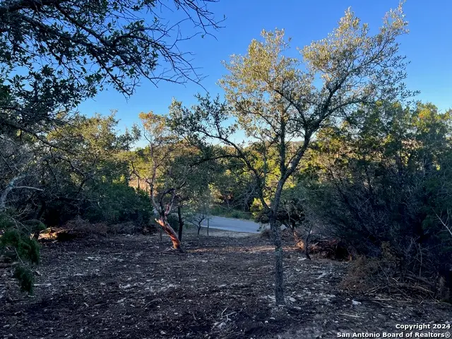 340 Ledgeview Dr, Canyon Lake, TX 78133 - #3