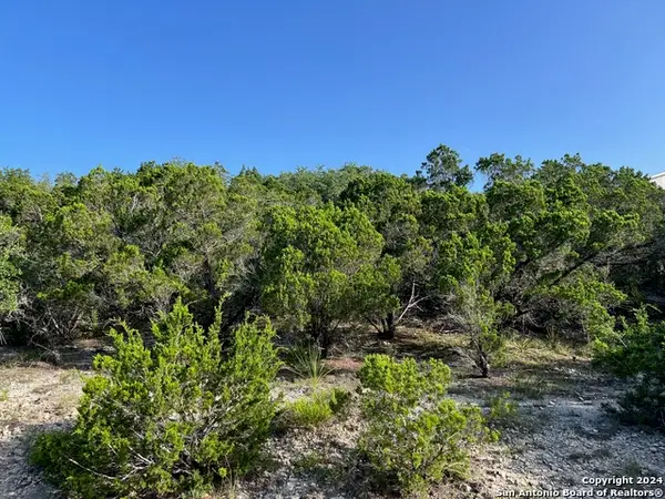280 Scenic Hills Dr, Canyon Lake, TX 78133
