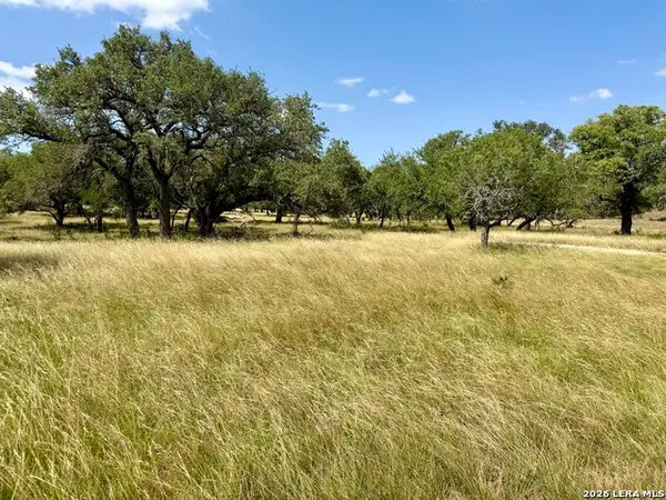 43 ACRES Sattler Rd., Spring Branch, TX 78070