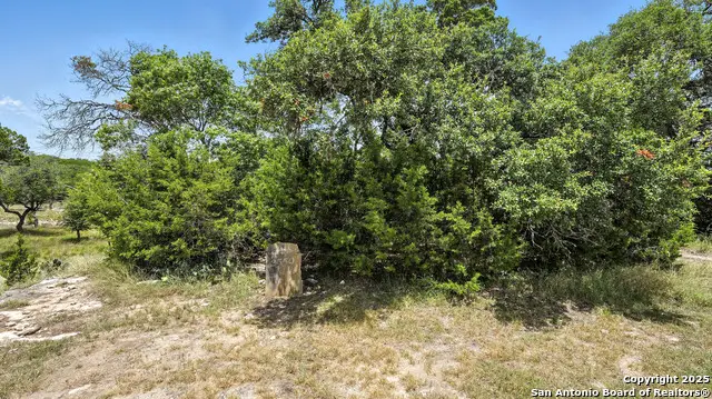 2559 George Pass, Canyon Lake, TX 78133 - #3