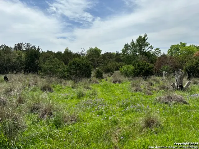 4.31 ACRES Walnut Grove Rd, Boerne, TX 78006 - #2