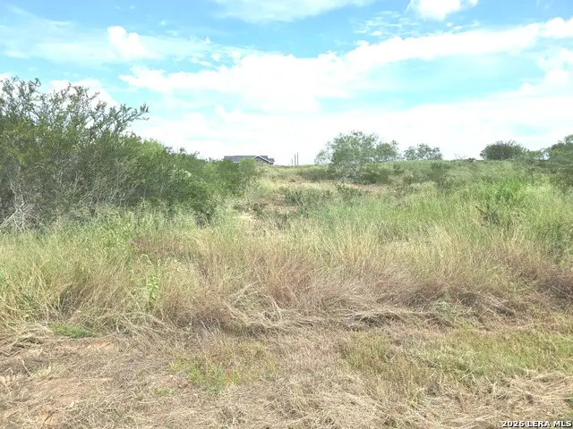 115 County Road 2666, Devine, TX 78016 - #1