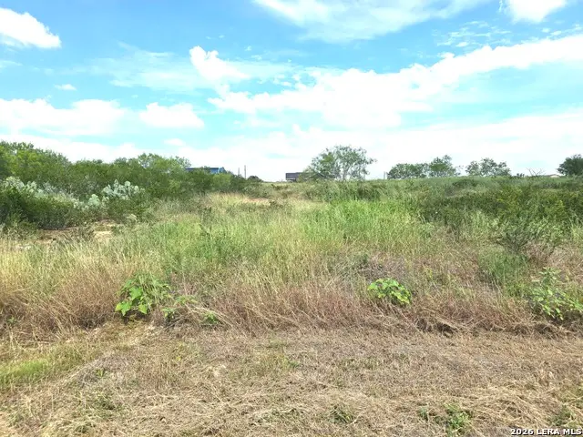 115 County Road 2666, Devine, TX 78016 - #2