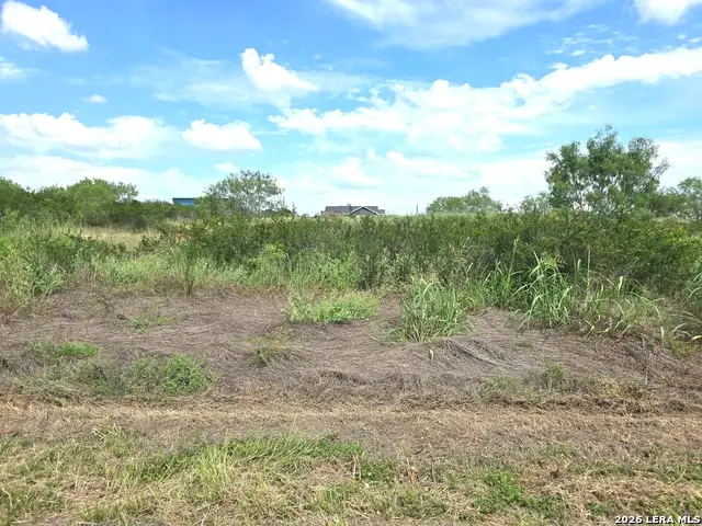 115 County Road 2666, Devine, TX 78016 - #3