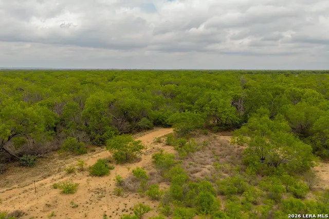 12 Fm 1581, Pearsall, TX 78061 - #3