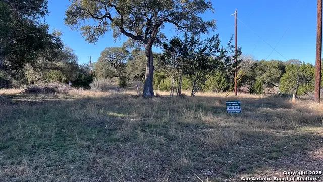 381 Lakeshore Ln, Bandera, TX 78003 - #3