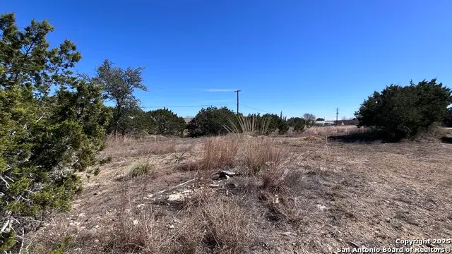 631 Whartons Dock Rd, Bandera, TX 78003 - #3