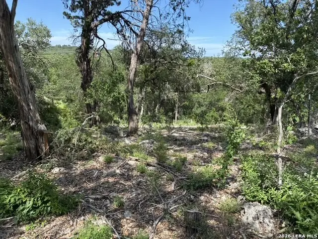 3020 Tanglewood Trl, Spring Branch, TX 78070 - #1