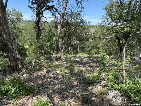 3020 Tanglewood Trl, Spring Branch, TX 78070