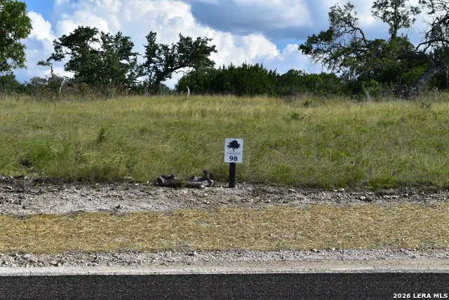 LOT 98 Grazing Meadow Lane, Fredericksburg, TX 78624 - #2