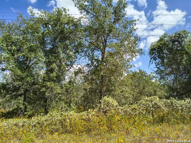 00 Priest Rd., Elmendorf, TX 78112 - #1