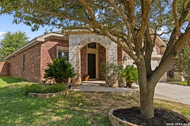 8003 Andrews Pass, San Antonio, TX 78254 - #3