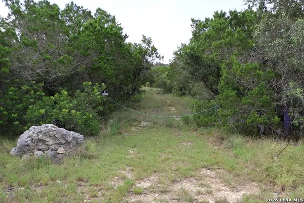 240 County Road 2704, Mico, TX 78056
