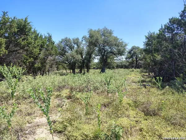 32 Sotol Ln, Boerne, TX 78006