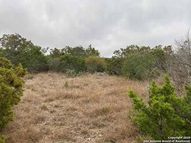 1595 Rim Rock Rd, Camp Wood, TX 78833 - #1