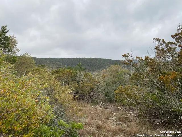 1595 Rim Rock Rd, Camp Wood, TX 78833 - #3