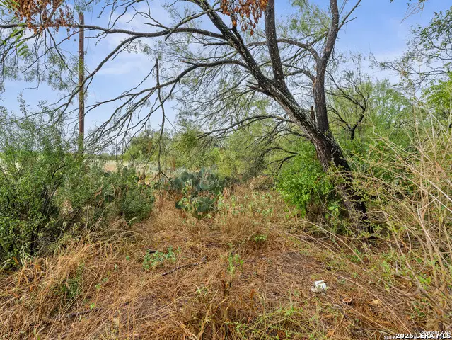 TO BE DETERMINE Jackel, Von Ormy, TX 78073 - #1
