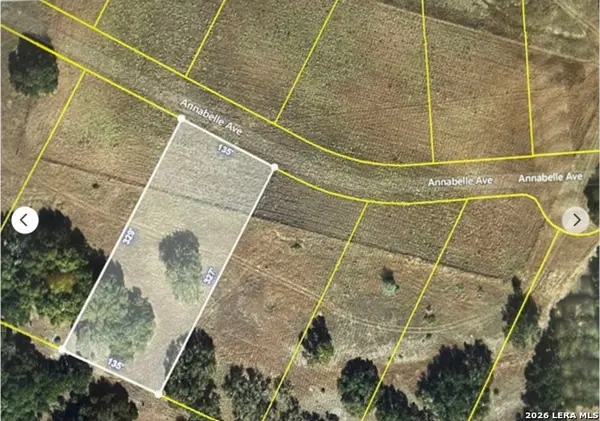 781 Annabelle Ave, Bulverde, TX 78163
