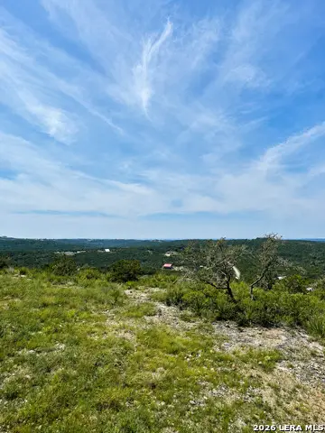 19 County Road 270, Mico, TX 78056 - #3