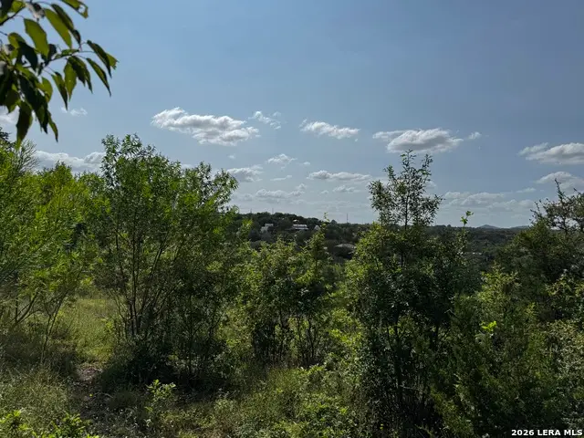 LOT 9 Hillside Drive, Spring Branch, TX 78070 - #3