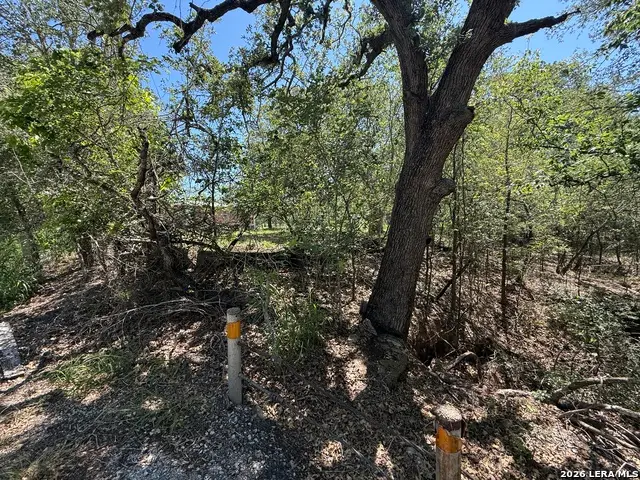 1505 Nash Creek Rd, Kingsbury, TX 78638 - #2