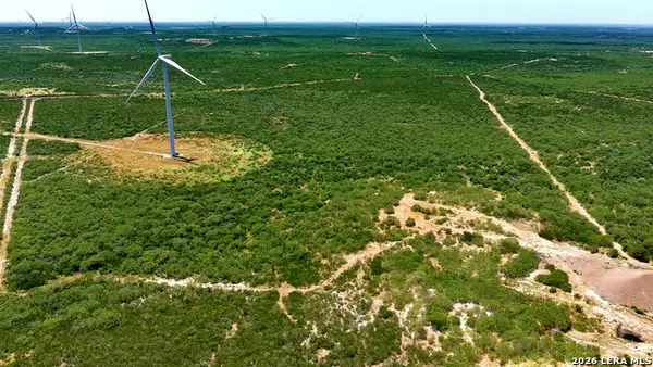 0 San Pablo Rd Tract 3 (117.0410), Bruni, TX 78344