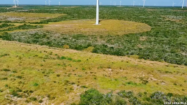 TRACT 4 (56AC) San Pablo Rd Tract 4, Bruni, TX 78344 - #3