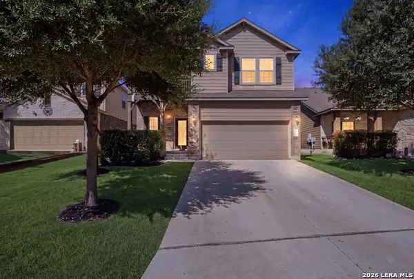 1631 Badger Wolf, San Antonio, TX 78245