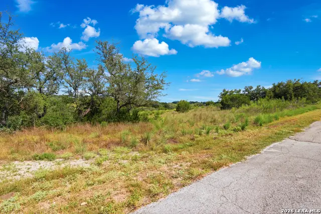 148 Gadwall Way, Spring Branch, TX 78070 - #2