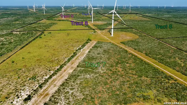TRACT 7 (50AC) San Pablo Rd, Bruni, TX 78344