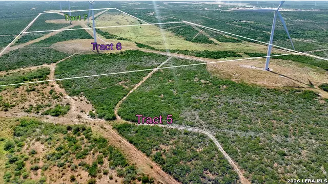 TRACT 7 (50AC) San Pablo Rd, Bruni, TX 78344 - #3