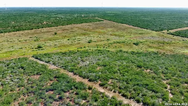 TRACT 8 (47.77) San Pablo Rd, Bruni, TX 78344