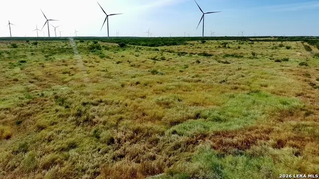 TRACT 9 (43.1) San Pablo Rd, Bruni, TX 78344 - #2