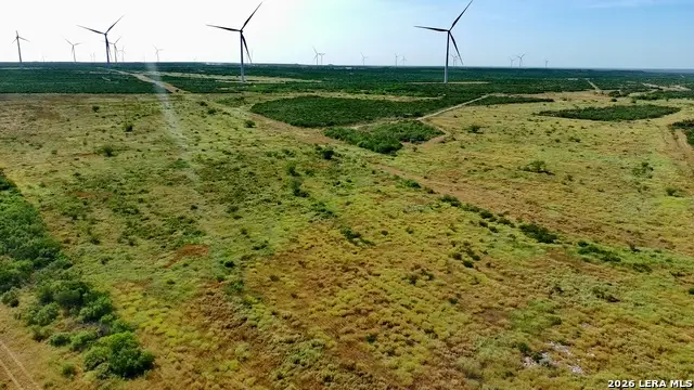 TRACT 9 (43.1) San Pablo Rd, Bruni, TX 78344 - #3
